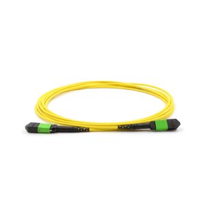 Patchcord-with-MPO_MTP-connectors